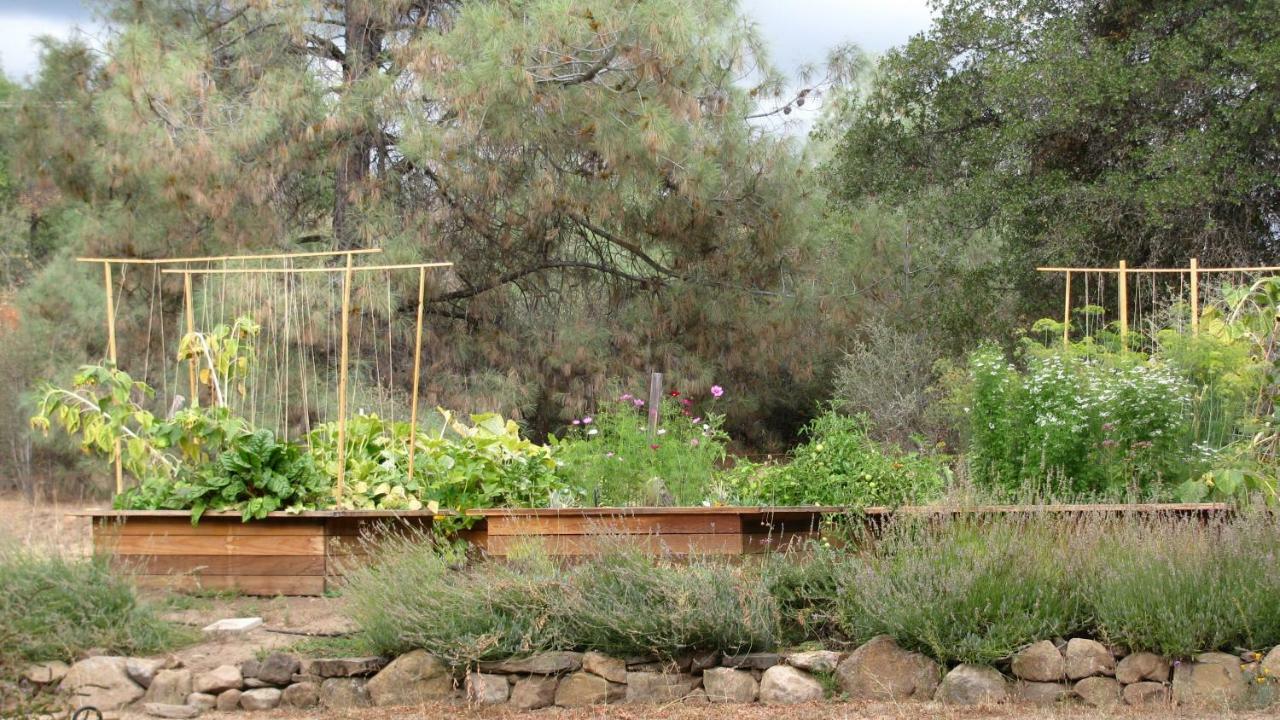 Yosemite Rose Bed And Breakfast グローヴランド エクステリア 写真